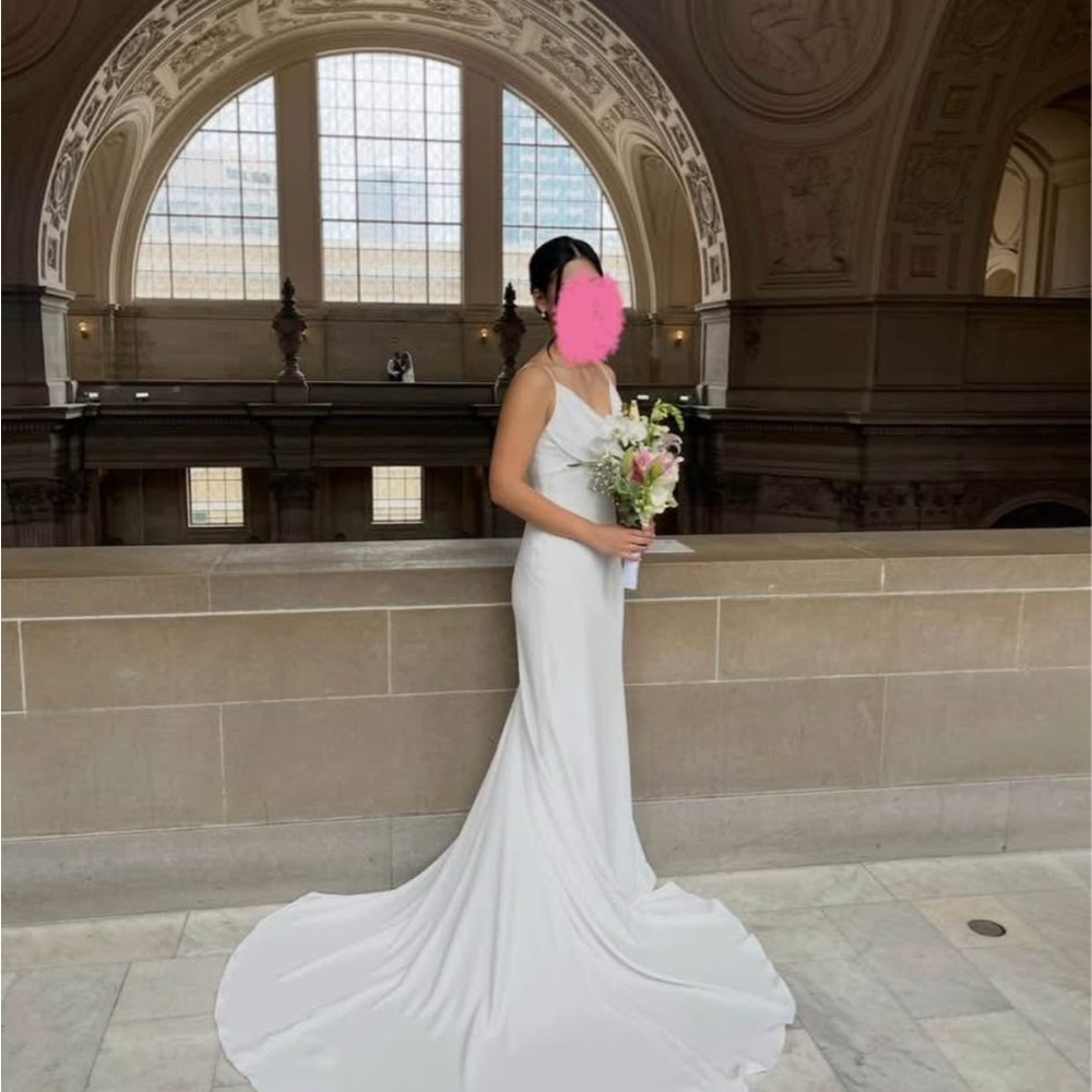 Pronovias Antiope Wedding Dress